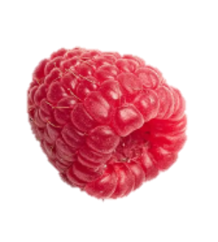 Raspberry single raspberry<br />