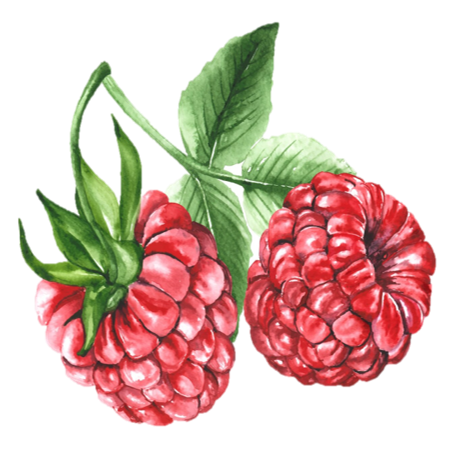 two-raspberries two-raspberries